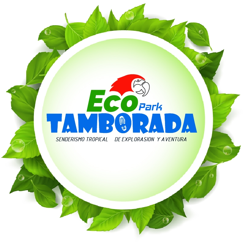Turismo de Selva